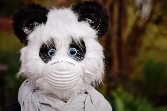 HeySpin Casino Supporto